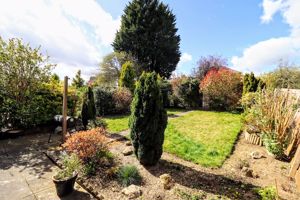 Garden- click for photo gallery